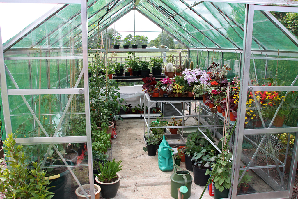 The greenhouse@MarilynJane